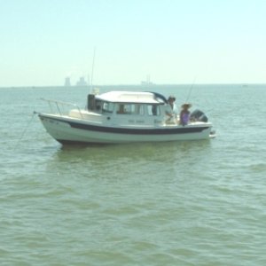 Media 'Hunting for black tips and cobia' in album '(james) COOL CHANGE'