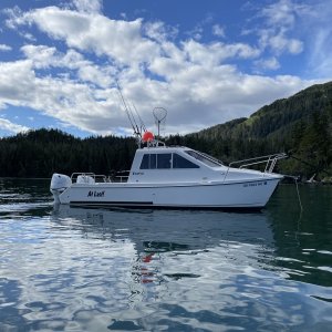 New boat, nicely kept overall and major upgrades by previous owner. I like it.