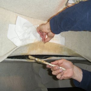 carpet berth 019