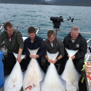 Media 'they'll be eating halibut this winter' in album 'In_laws with some nice fish'