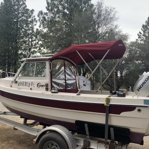 Bimini top & drop curtain