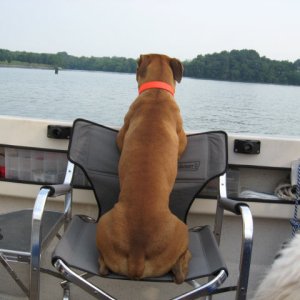 Geeeez that's a long swim!