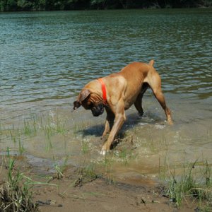 Cumberland River 7-4-09 050
