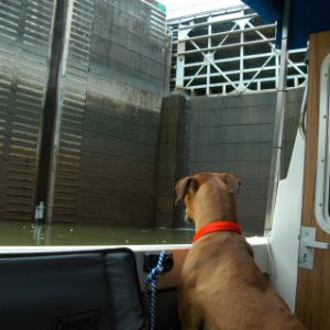 Cumberland River 7-4-09 080