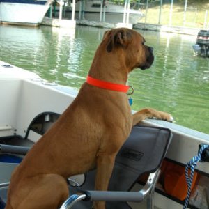 Cumberland River 7-4-09 093