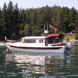 Media 'Daydream on the Buoy at Doe Island 8-13-06' in album 'Pat and Baxter in Dinghy at Matia Cove 8-11-06'