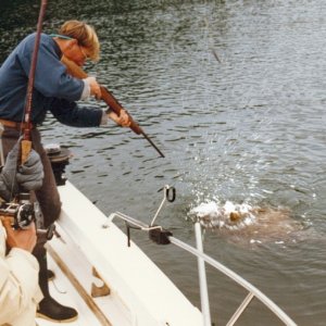 How to get a big halibut into a little boat.