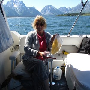 Media 'Drinking Colostomy bag Pinot Grigio while doing Twizzler chasers' in album 'sunset shot of the Tetons, Jackson Lake August 2011'