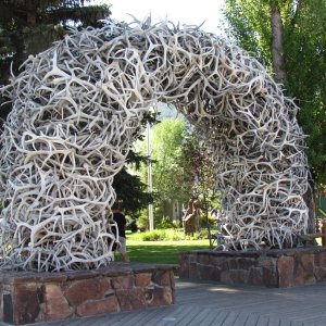 Elk antlers in an arch downtown Jackson, Wy