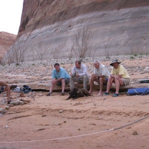 Discussion Group