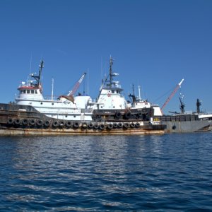 Tugboats in Lake Union