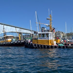 Tugs in Lake Union