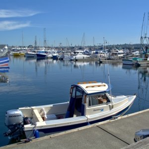 Met another 16 Angler owner while docked here. Great guy, uses his Angler lots.