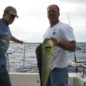 Jeff's Dolphin Fish