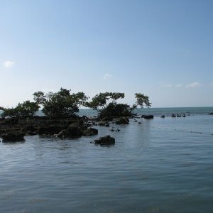 IMG 0132