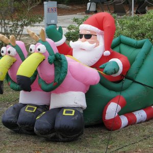 Santa and gulf coast rein deer