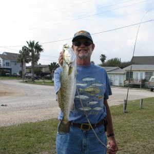 24" Spotted Sea Trout