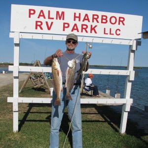 Two Red Drum 24" and 21" and a Trout