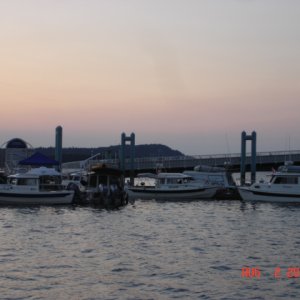 Some C-Dorys at dawn