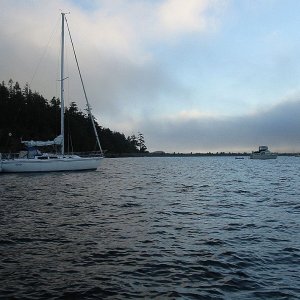 IMG 2264