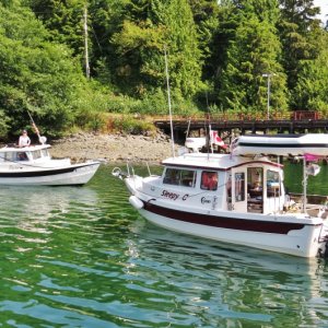 In Bull Harbor, Hope Island, N Vancouver Island, Met Raven and crew (Randy) for a hike to the west side.