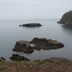 (WadeV) Sharps Cove