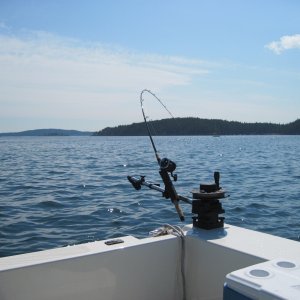Friday Harbor Aug 21st 2009 125