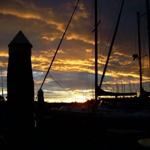 Media 'Bellingham Gathering 2006' in album 'Baja Sunset'