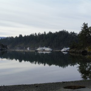 Setting out on a hike, around Mud Bay and out to Wiggins Point