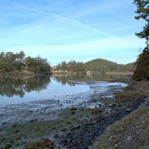 Mud bay
