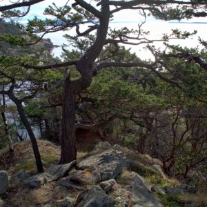 Nearing the end of the trail at Wiggins Point. Its a bit of a scramble to get down and back up.