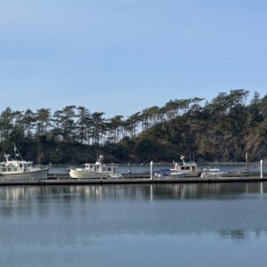 New company at Fossil Bay dock