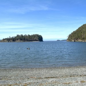Afternoon walk around the shores of Fox Cove