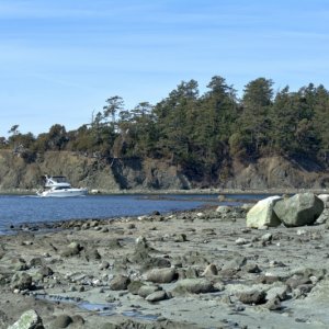 Bayliner entering Fox Cove in front of Little Sucia