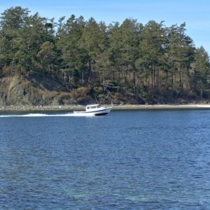 A 22 Cruiser entering Fox Cove