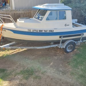 Happy in the backyard, but unhappy she\'s being sold