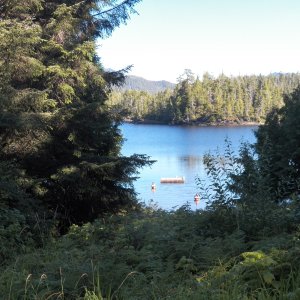 Part of the perfection of this location is a large freshwater lake a few hundred feet from the shore.  Warm as bathwater (and used as such).
