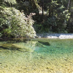 I took my bike up the Tahsis river.  It doesn't look deep, but it's over my head.