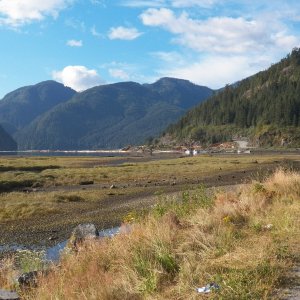 Looking across the river delta to the log sorting operation.