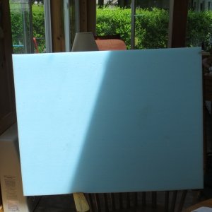 Media 'replacement foam' in album 'Moldy berth foam.'