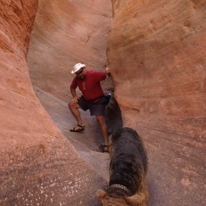 Media 'The fun of narrow slot canyons' in album 'Intrepid hikers to Cookie Jar - day 2 of Lake Powell - UNREAL!'