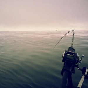 Flat seas out of Westport