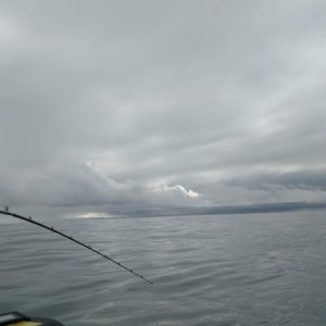 Media 'Smooth seas 10 miles offshore at Nootka' in album 'Flat seas out of Westport'