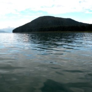 View from Oliver Inlet