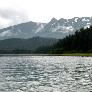 View looking back towards Oliver Inlet
