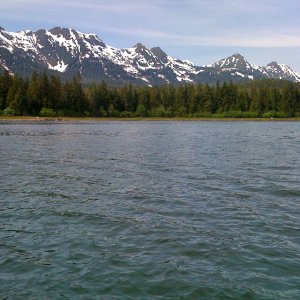 View of mountains facing west in Oliver Inlet.  Large boulders dot the shoreline.  Bears are well camouflaged.