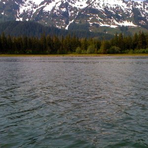 Looking for bears on shoreline