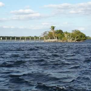 Island in the Okeechobee