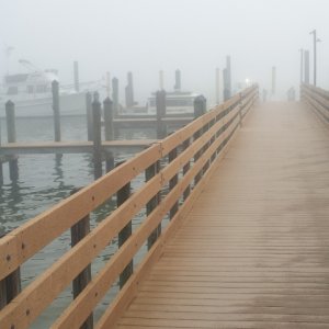 State Park Marina