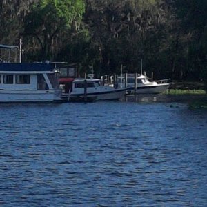Media 'Hontoon Island from across the St. Johns' in album '"Blues Cruiser" Pounce Inlet, FL'